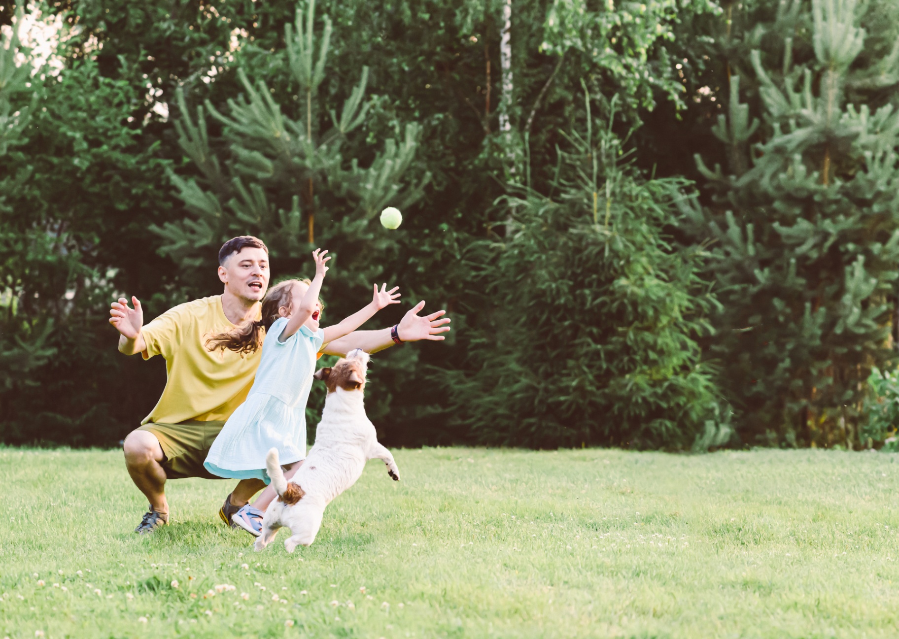 Father, daughter and Jack Russell playing catch in a green North Fork yard, tick-free and worry-free.