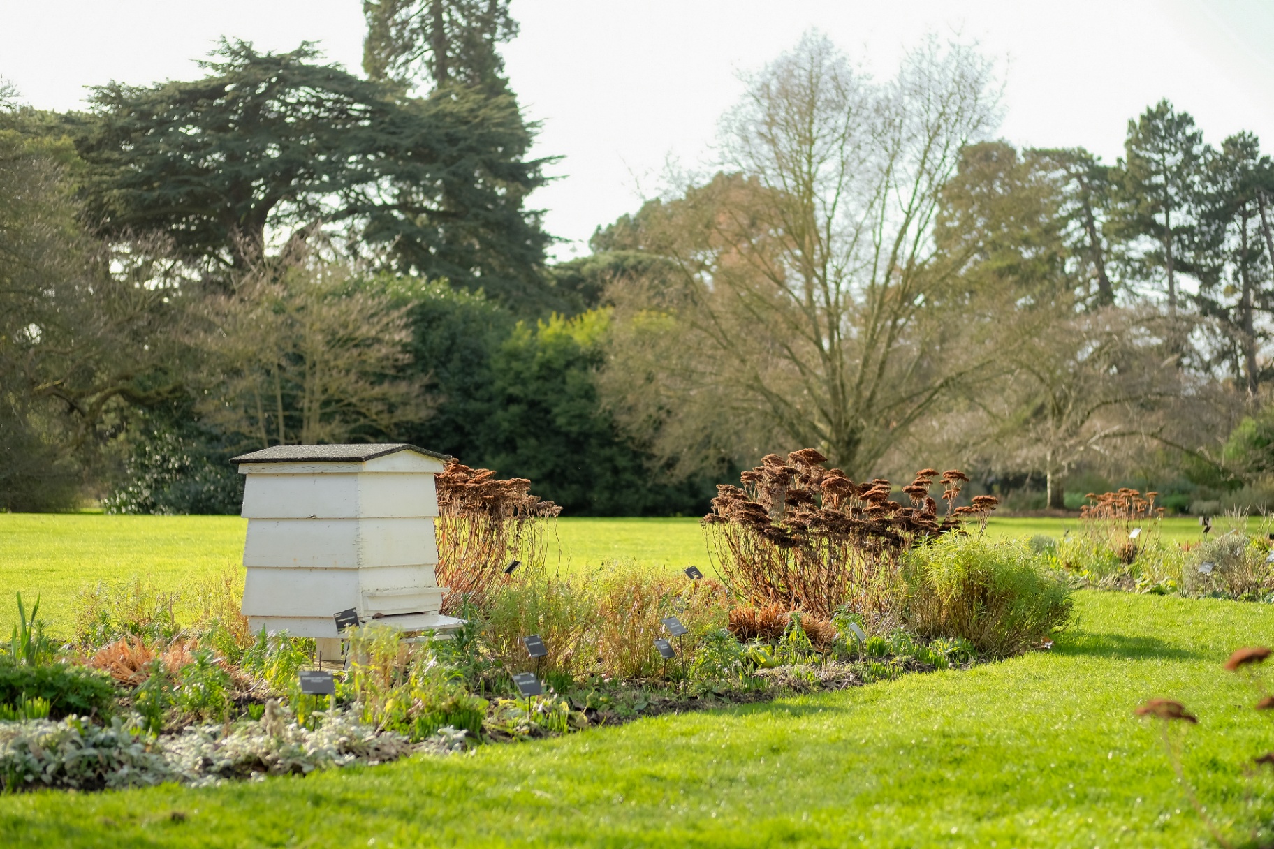 White beehive in a pollinator garden — The Tick Crew's Bee Nice promise protects honeybees.