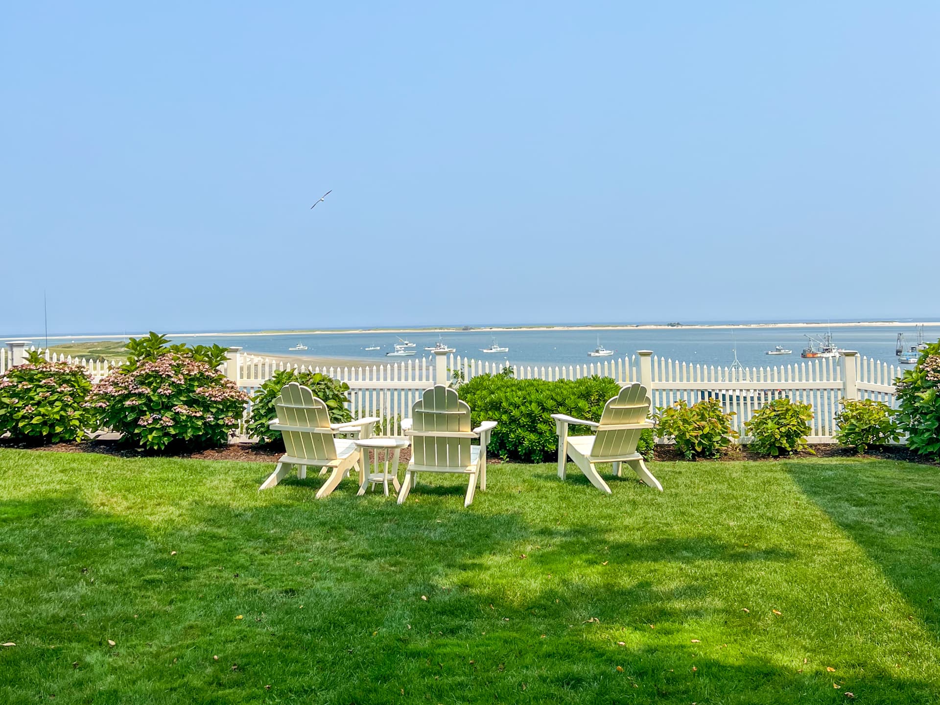 All-natural mosquito control North Fork Long Island Bayfront North Fork lawn with Adirondack chairs, mosquito-free after natural treatment